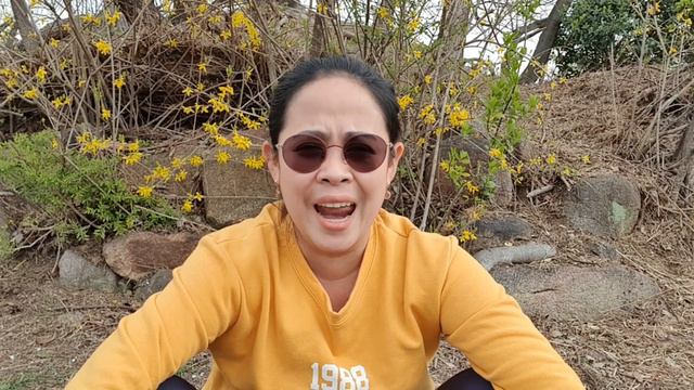 CHERRY BLOSSOM IN KOREA ( SPRING NA! ) | Elyrose Kim vlog смотреть онлайн