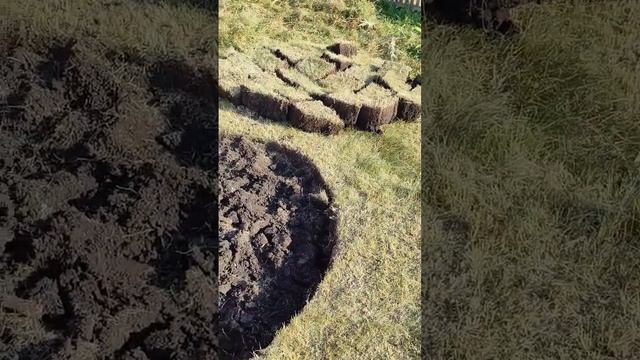 #канализация #выгребнаяяма #эксковатор #копать #вручную #делема #чтоделать #жара #работа #отдых смотреть онлайн