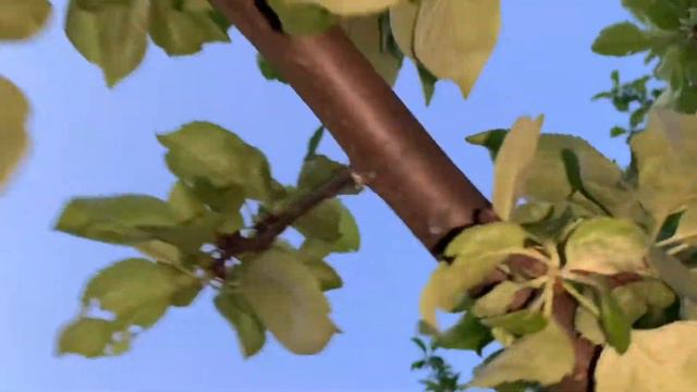 🤗Доброй ночи друзья смотреть онлайн