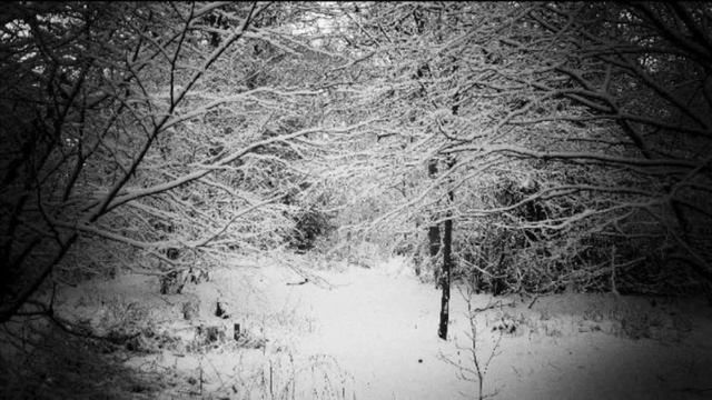 KgZ- [Dark/8bit/Trance] Black Snow смотреть онлайн
