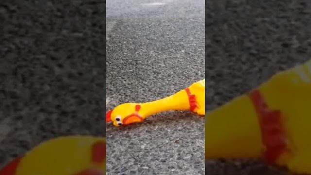 Прикольная утка Краш-тест #toys #tiktok #shorts #утка смотреть онлайн