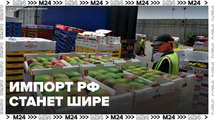 В РФ расширили перечень товаров для параллельного импорта - Москва 24
