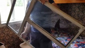 На нашем хуторе заработал музей . Началась заключительная неделя строительства домика на дереве .
