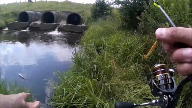 FISH SEASON FARIO NT-MORM FNTM-602XUL(не обзор!!!) смотреть онлайн