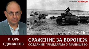 Игорь Сдвижков. "Сражение за Воронеж." Часть 1. Создание плацдарма у Малышево 4 июля 1942 года