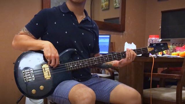 Garbage - Special (Bass Cover) смотреть онлайн