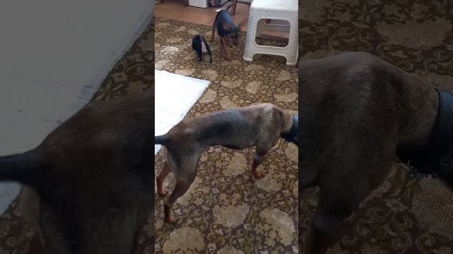 вся семья в сборе смотреть онлайн