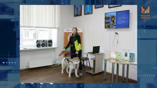 Доброе отношение к питомцам смотреть онлайн