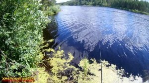 На рыбалку на велосипеде. Вело рыбалка.