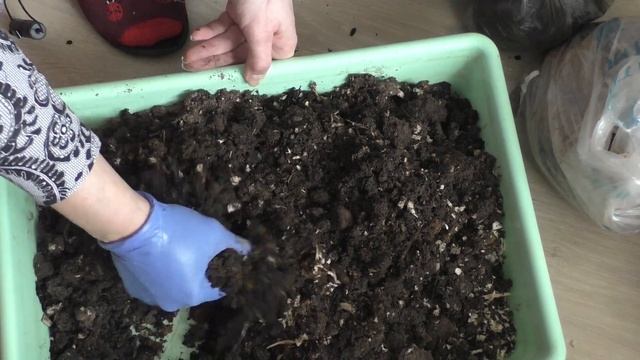 Подготовка грунта для саженцев винограда смотреть онлайн