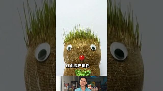 Time lapse: 1 day to 20 rice #selaginella #floweringtrees #flower #timelapse #plant #timelapsevideo смотреть онлайн