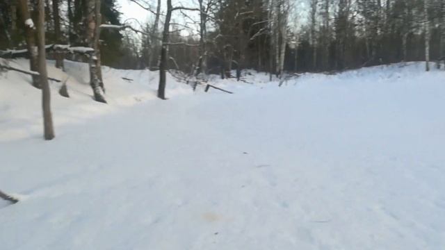 проверка капканов, первый день в новом году