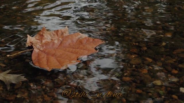 Осень в лужах отражалась. Стихи о природе. Елена Немоляева. смотреть онлайн