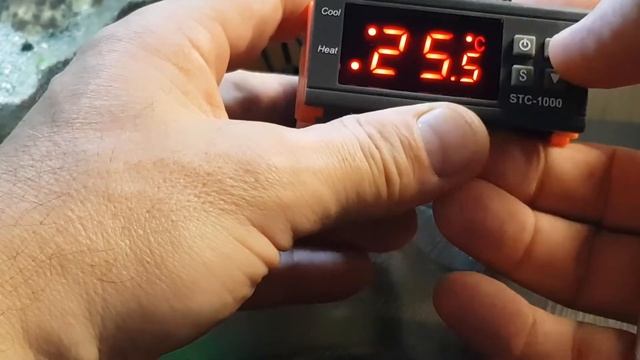 Цифровой терморегулятор STC-1000