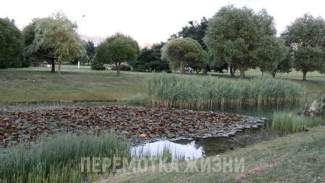 БЕЗ ТРУСОВ БЫЛО ПРИЯТНЕЕ... Истории из жизни людей Аудио рассказы слушать смотреть онлайн