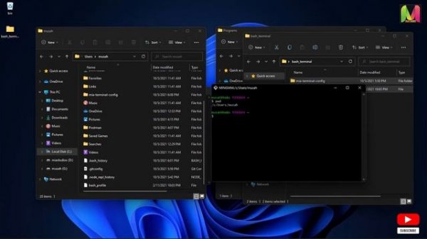 how to customize git bash on windows 11