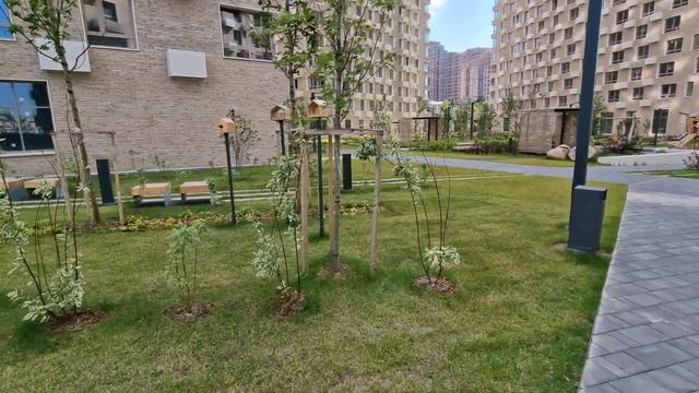 ЖК Волоколамское 24 от ПИК, внутрений двор комплекса апартаментов смотреть онлайн
