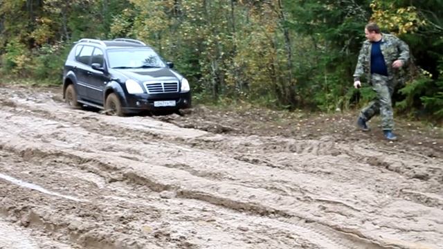 ?????? Rexton