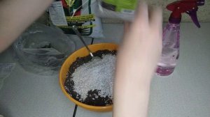 ГРУНТ для сансевиерий. Как Я делаю грунт.