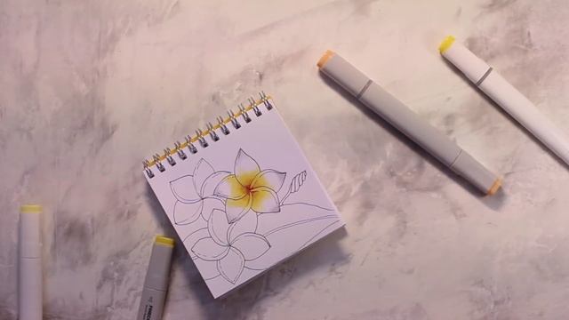 Обзор китайских маркеров с алиэкспресс touch new, скетч маркерами, рисунок цветов плюмерия смотреть онлайн