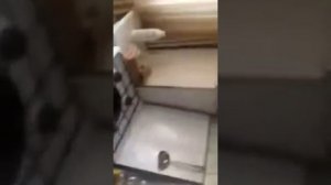 Что будет если в горячие масло налить холодной воды