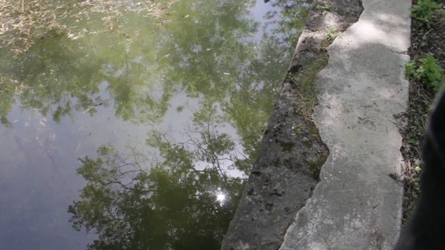 15.05.2023 Максимова дача смотреть онлайн