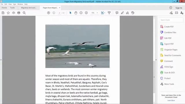 How to extract pages from a PDF using adobe acrobat pro dc смотреть онлайн