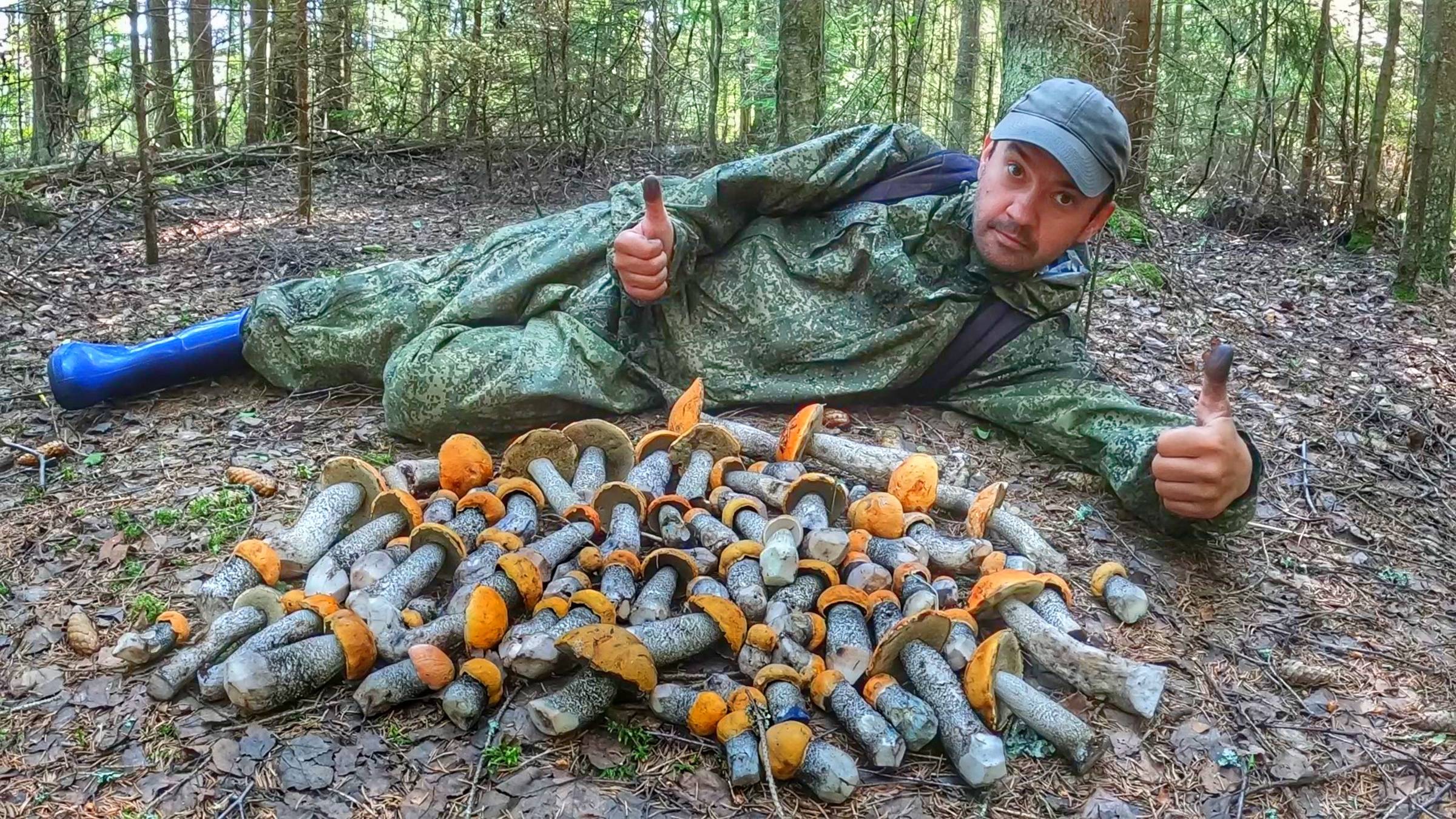 ОБАЛДЕТЬ!ПОПАЛ НА ГРИБНУЮ ВЕЧЕРИНКУ | НАКОЛОТИЛ РОТУ МОЛОДЫХ ПОДОСИНОВИКОВ ВОЗЛЕ БОЛОТА | ГРИБЫ 2024 смотреть онлайн