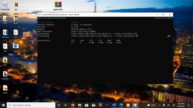 Access Localhost Website Anywhere From The Internet Using Ngrok смотреть онлайн