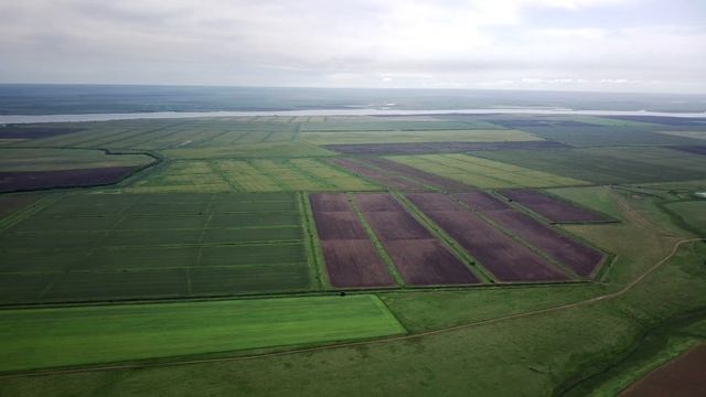 Эспарцет зацвел смотреть онлайн