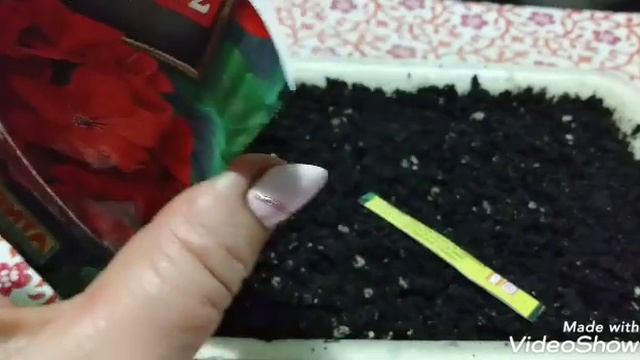 Сеем звезду смотреть онлайн