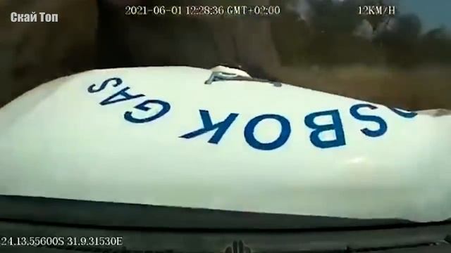 Удивительные случаи со слонами, снятые на камеру! смотреть онлайн