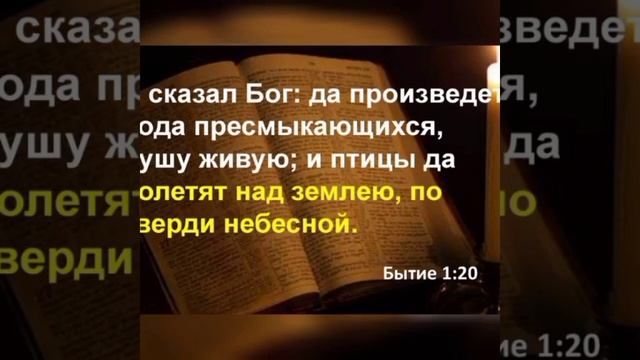 7 дней создания мира смотреть онлайн