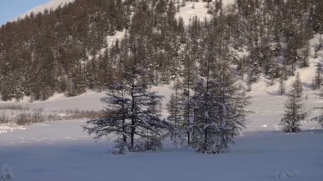 Екатерина Карпухина, Якутск смотреть онлайн