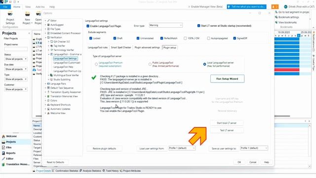 How to setup LanguageTool Plugin for RWS Trados Studio смотреть онлайн