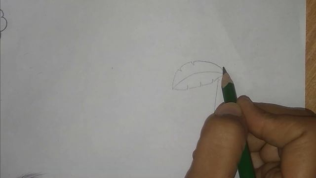 How to draw different Types of Trees/ Easy tree drawing смотреть онлайн