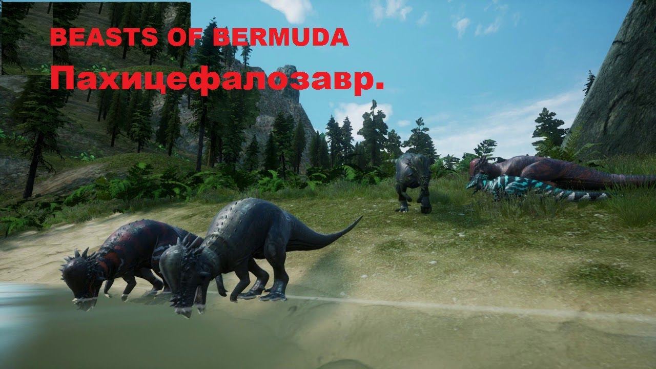 Beasts of Bermuda. С этим парнем уже виделись, чем он тут удивит.
