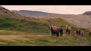 Мустанг HD | Дикие лошади | Факт о мустангах | Тарпан