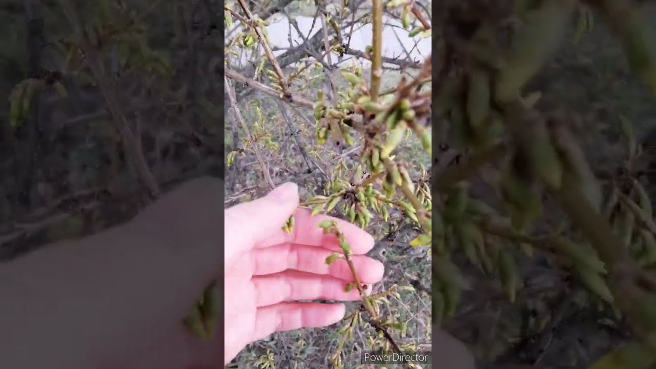 Как бросить курить за один день смотреть онлайн