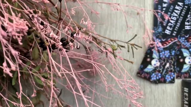 Буктрейлер «Незабудка. На границе света» смотреть онлайн