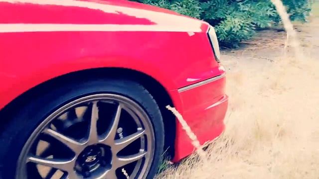 Chris and karras stagea day z смотреть онлайн