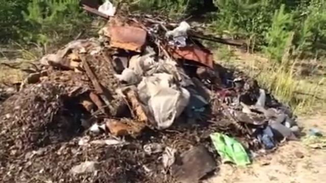 Площадка для дрессировки и выгула собак г. Югорск смотреть онлайн