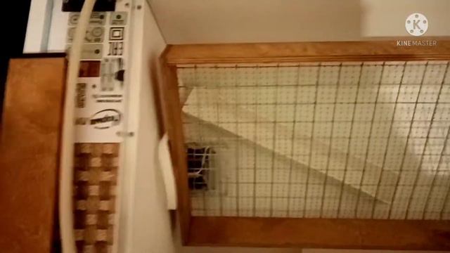 инкубатор Норма ЛУППЕР