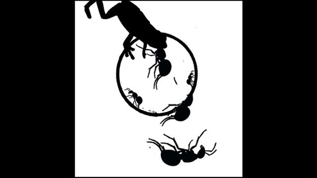FORMICIDAE vs PHYLLOMEDUSA - Ant vs Frog (2015) смотреть онлайн