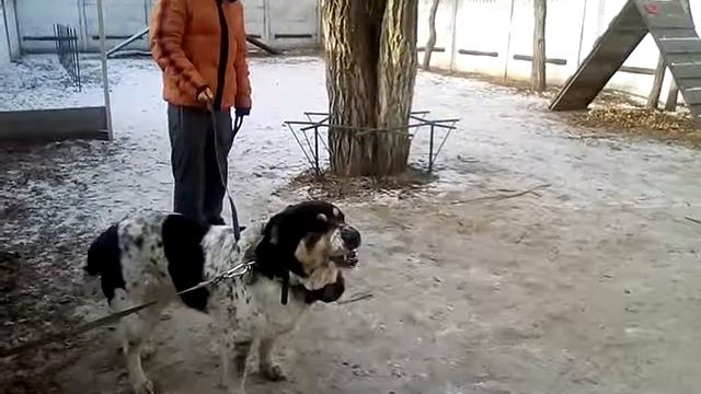 Красотка. Первый урок ЗКС(4) смотреть онлайн