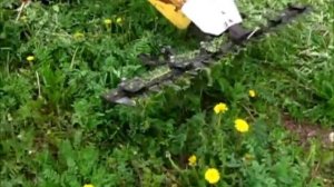 Тест сегментной  сенокосилки для мотоблока(ов) Ока,Нева,Каскад