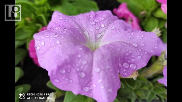 ТОП 5 смартфонов за НОЯБРЬ 2020 из Китая от 65$ до 500 долларов смотреть онлайн