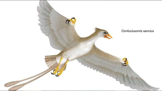 Birds Are definitely Dinosaurs pt10 - conclusion смотреть онлайн