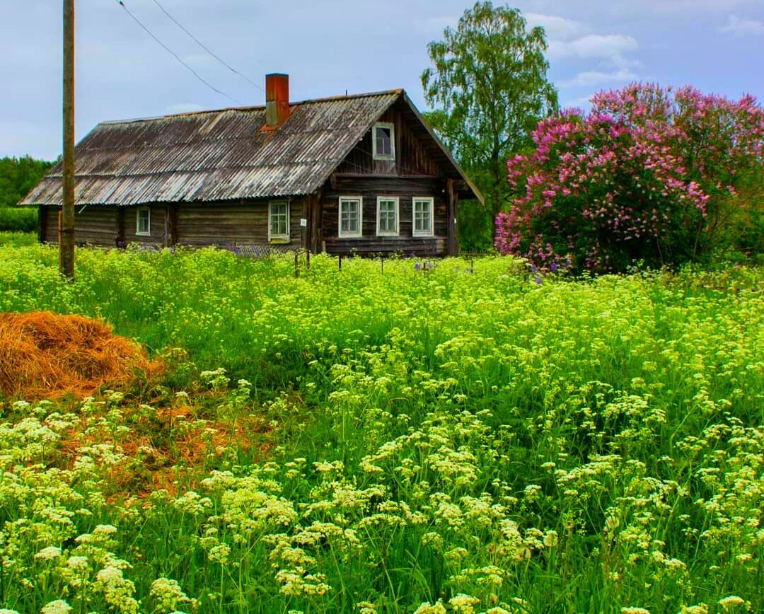 Asmr / ОДИН ДЕНЬ ИЗ МОЕЙ ЖИХНИ В ДЕРЕВНЕ