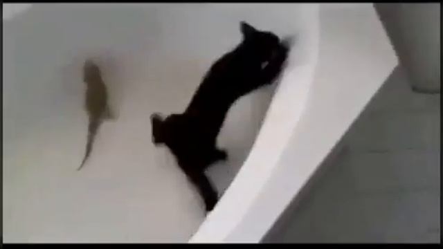 Приколы для поднятия настроения , часть 1 ??? смотреть онлайн